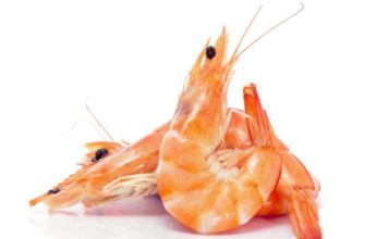 Gambero rosso 610 0 Gambero rosso